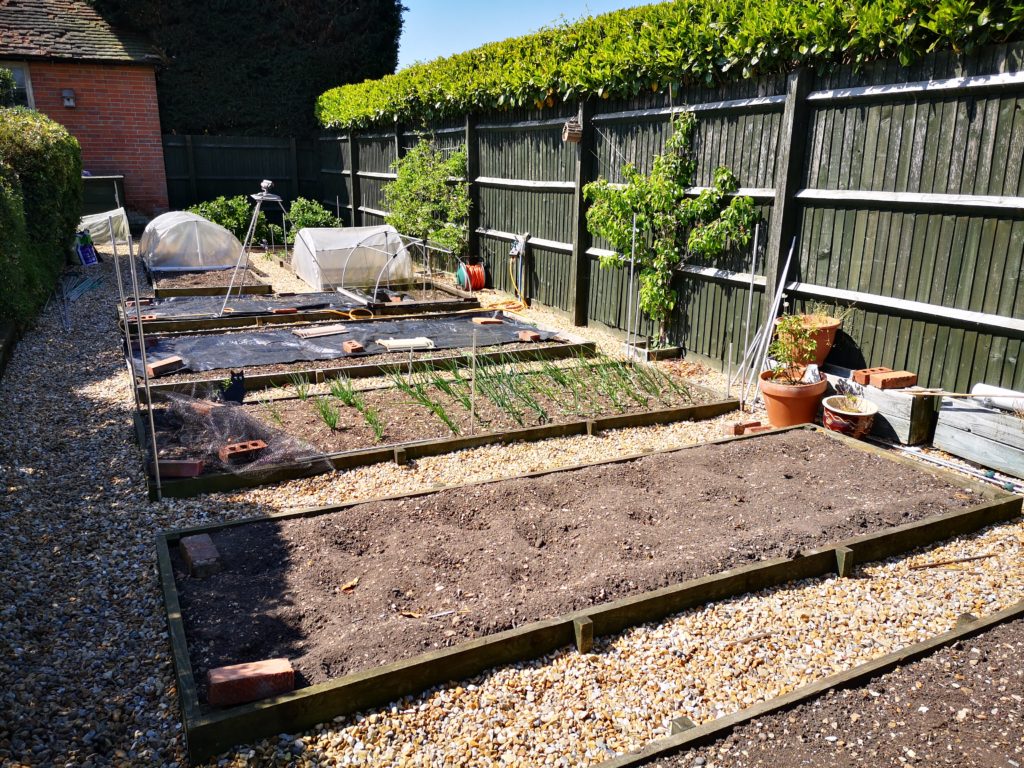 Vegetable garden layout picture