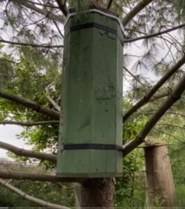 Beehive made from scrap wooden pallets